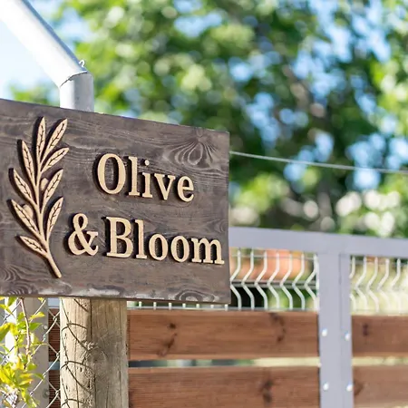 Olive & Bloom