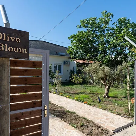 Villa Olive & Bloom